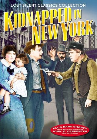 Kidnapped in New York poster