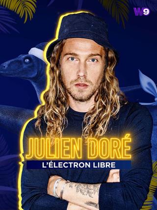 Julien Doré, l'électron libre poster