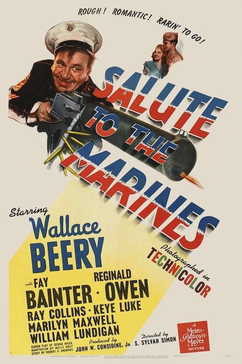Salute to the Marines poster
