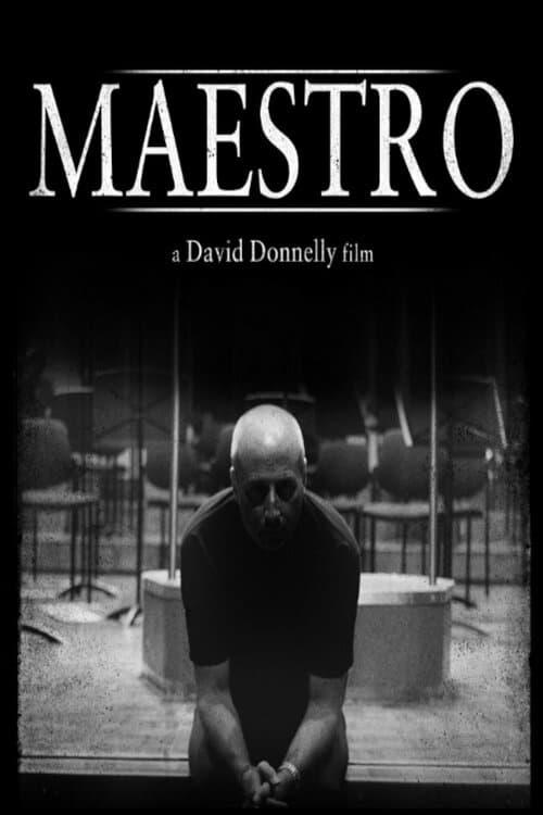 Maestro poster