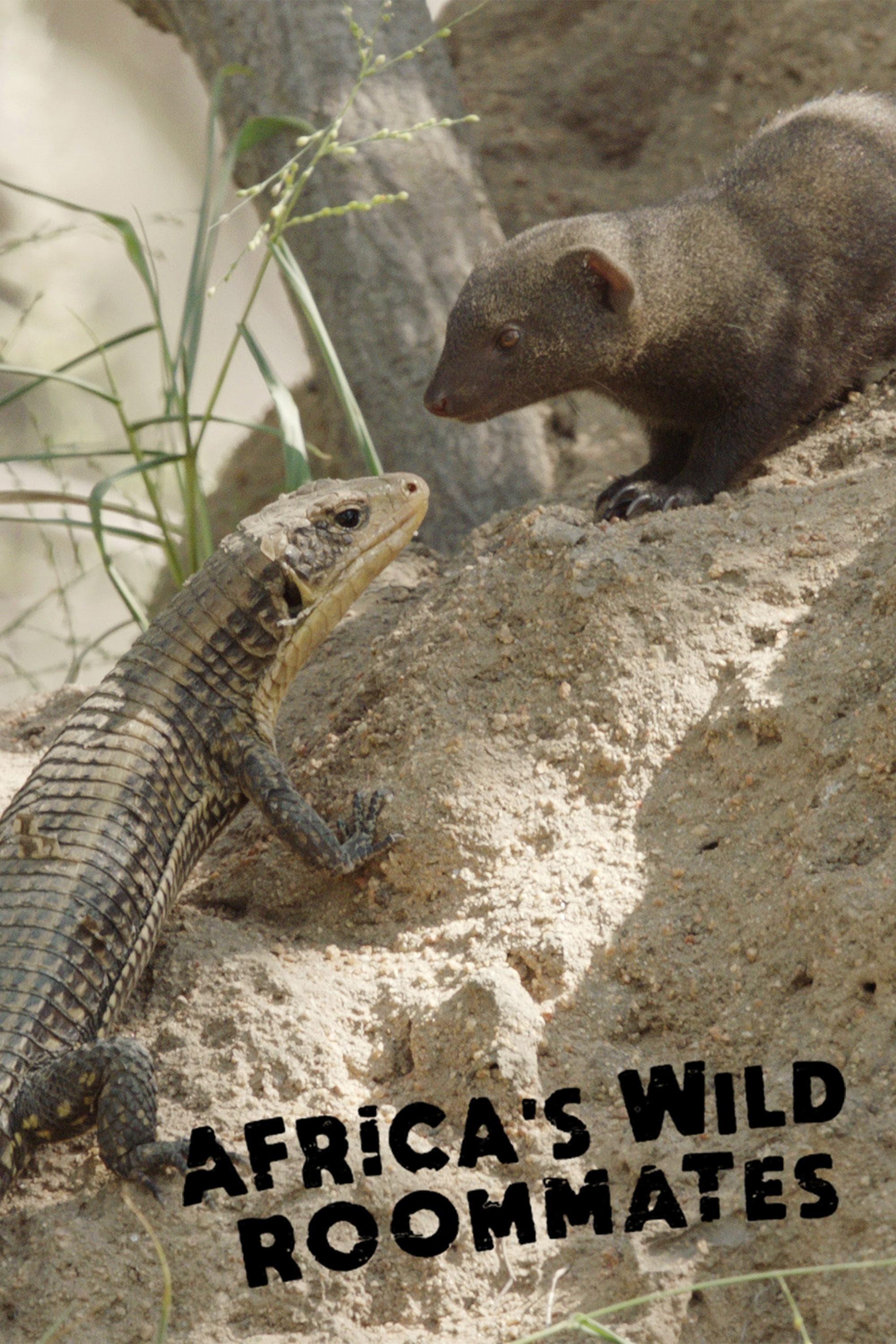 Africa's Wild Roommates: How Animals Share Bed and Board poster