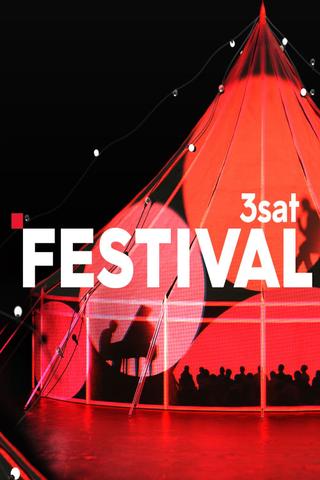 3satfestival poster