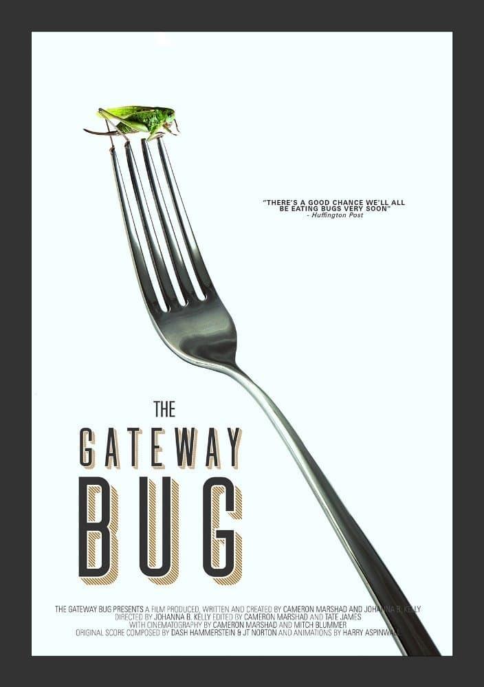 The Gateway Bug poster
