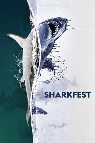 Sharkfest poster