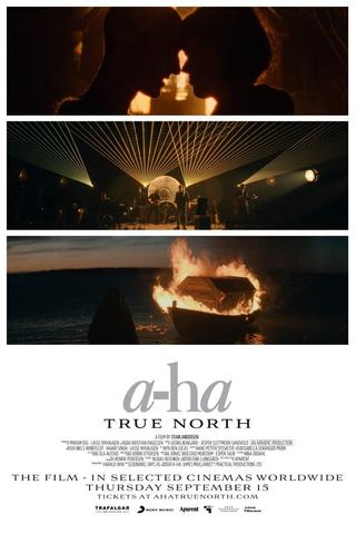 a-ha | True North poster