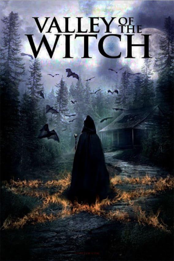 Valley of the Witch poster