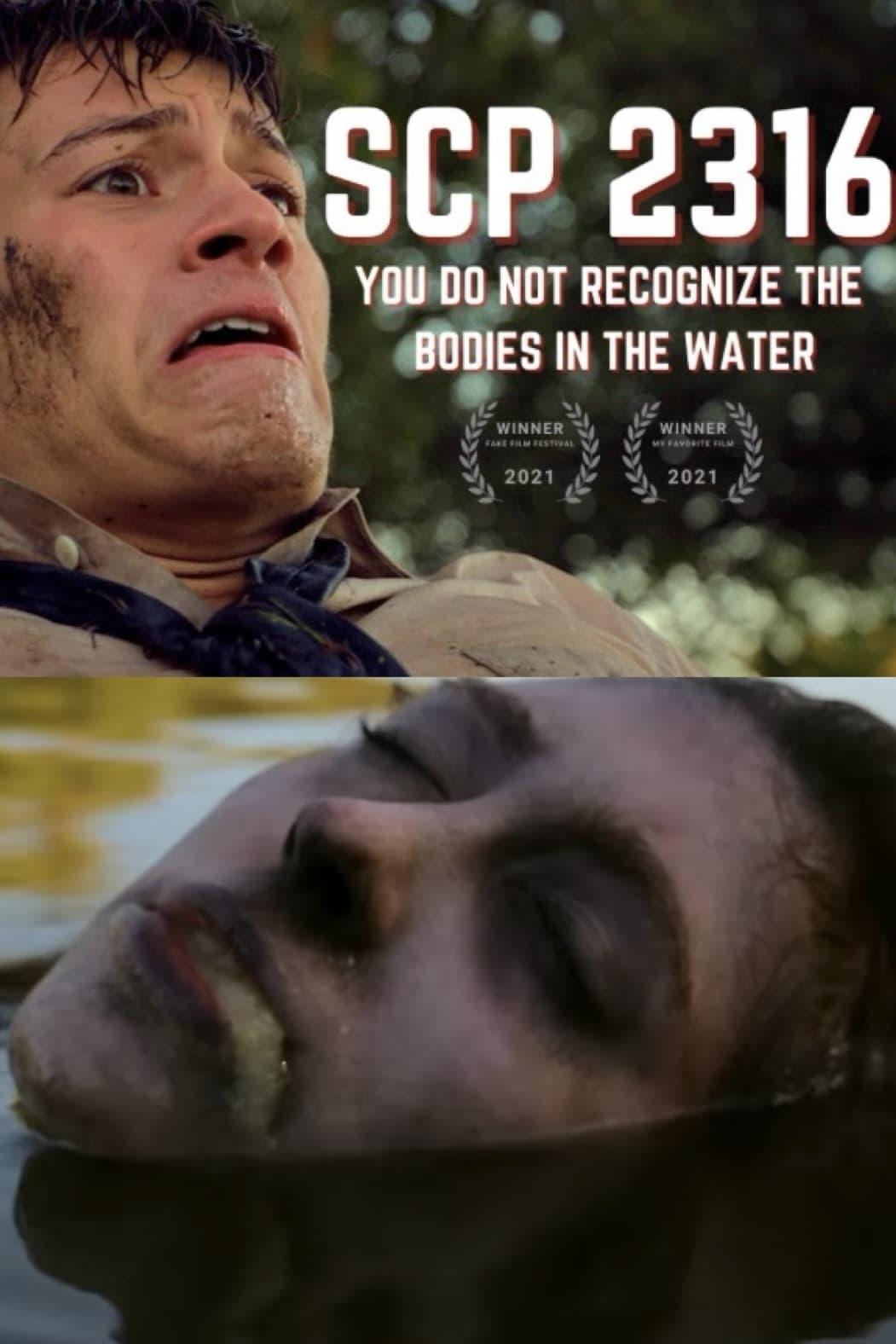 YOU DO NOT RECOGNIZE THE BODIES IN THE WATER poster