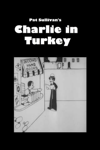 Charlie in Turkey poster