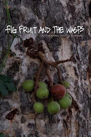 Fig Fruit and The Wasps poster