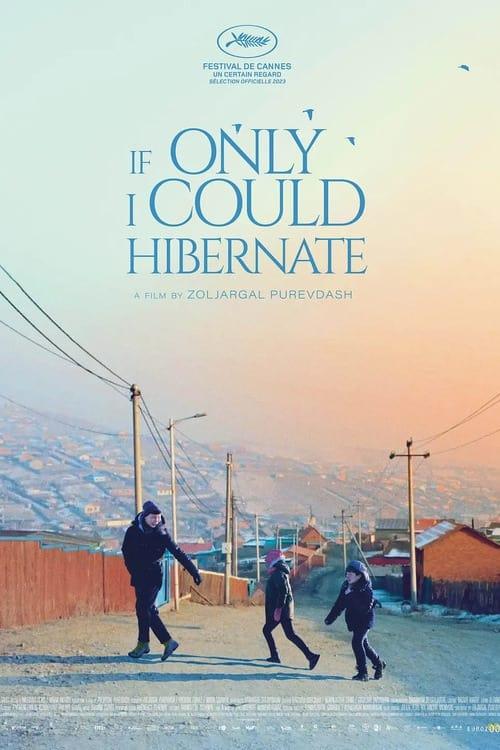 If Only I Could Hibernate poster