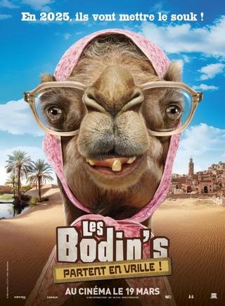 Les Bodin’s partent en vrille poster