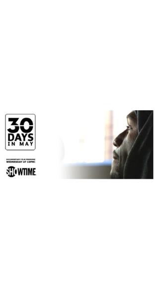 30 Days in May poster