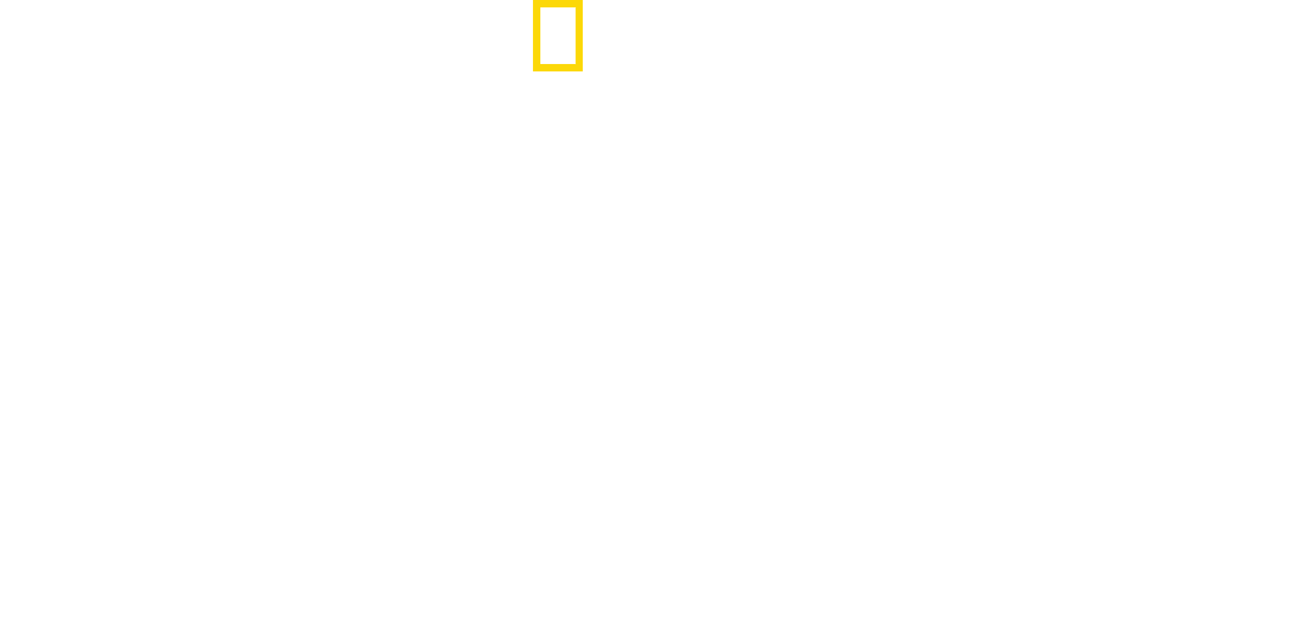 Wild Lapland logo