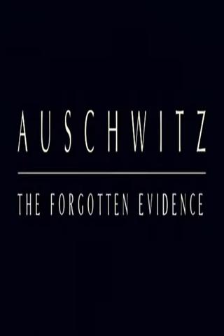 Auschwitz: The Forgotten Evidence poster