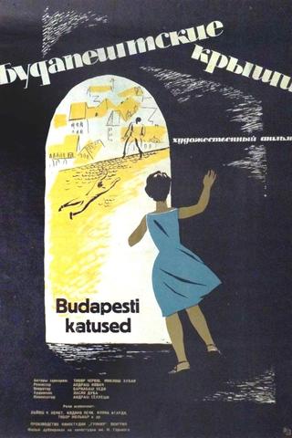 On the Roofs of Budapest poster
