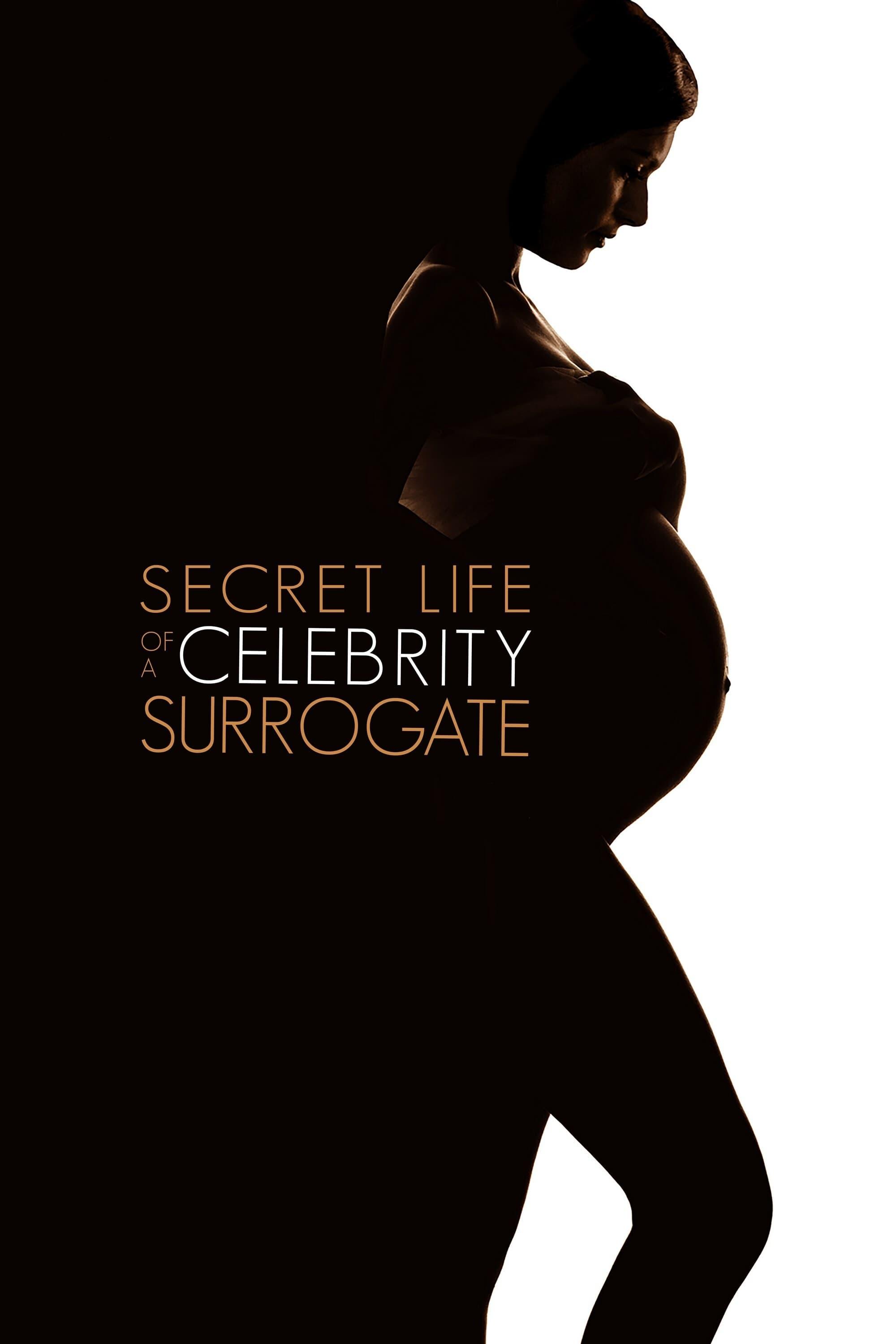 Secret Life of a Celebrity Surrogate poster