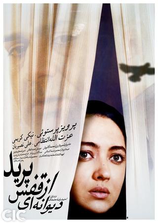 The Insane Flew Away poster