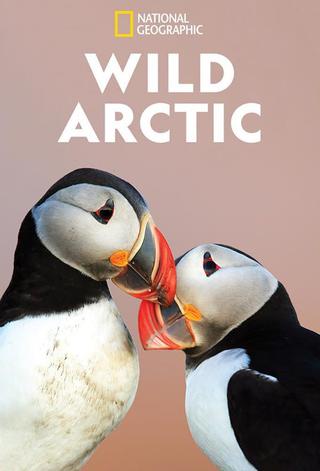 Wild Arctic poster