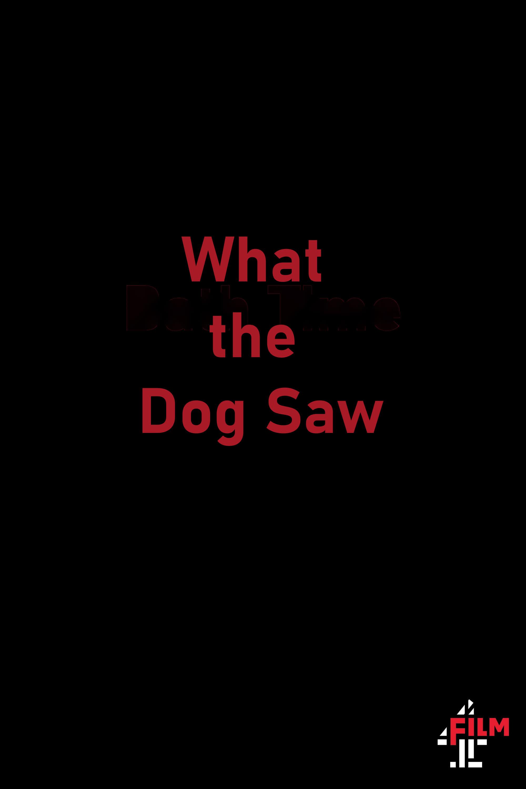 What the Dog Saw poster