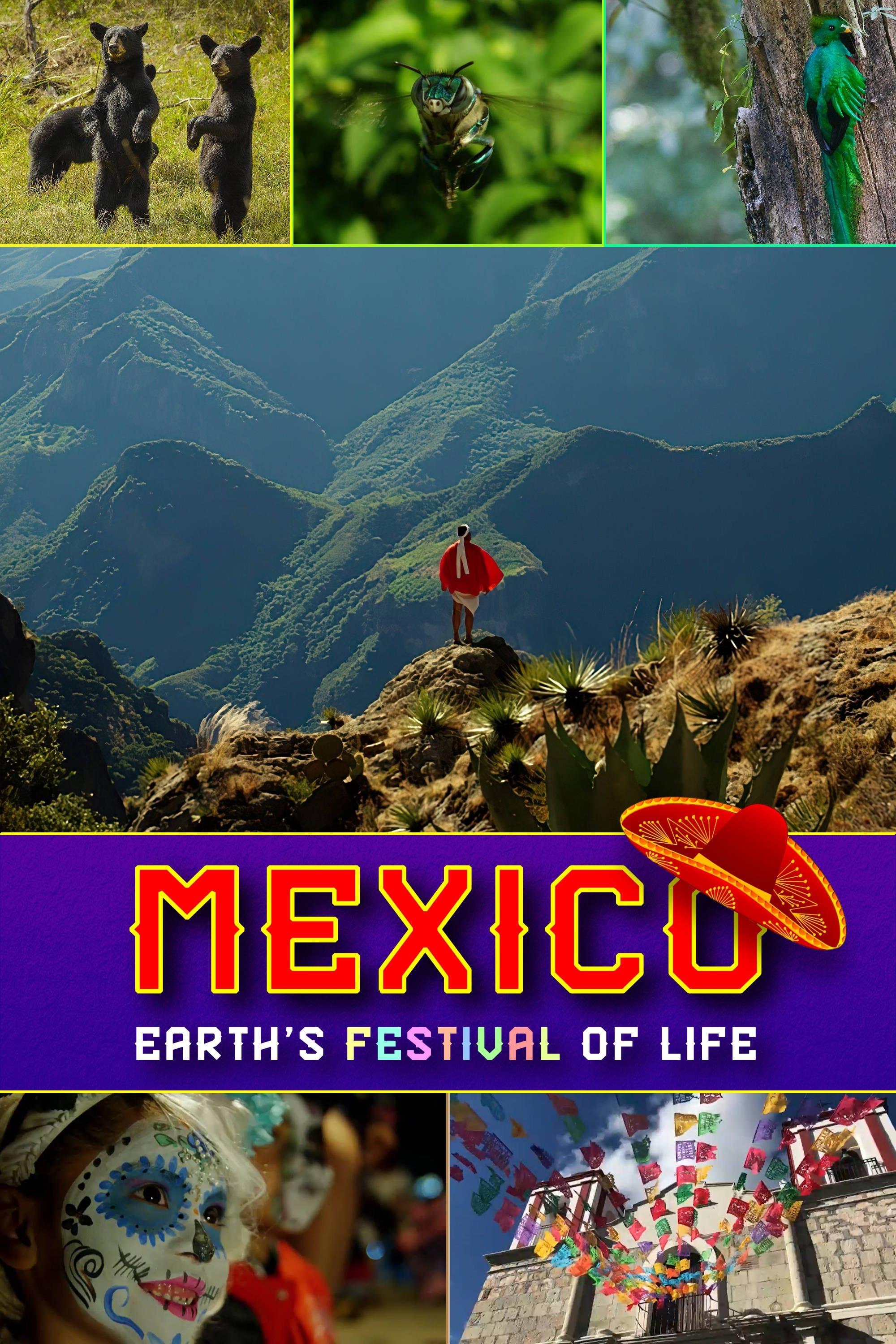 Mexico: Earth's Festival of Life poster