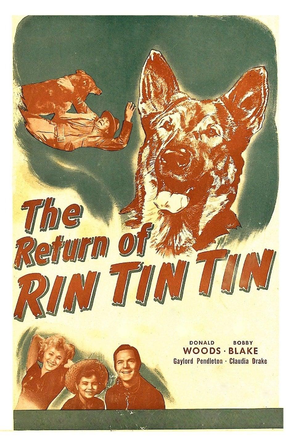 The Return of Rin Tin Tin poster