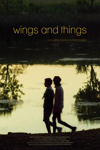 Wings and Things poster