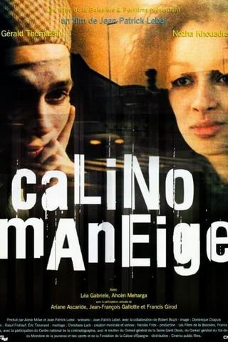 Calino Maneige poster