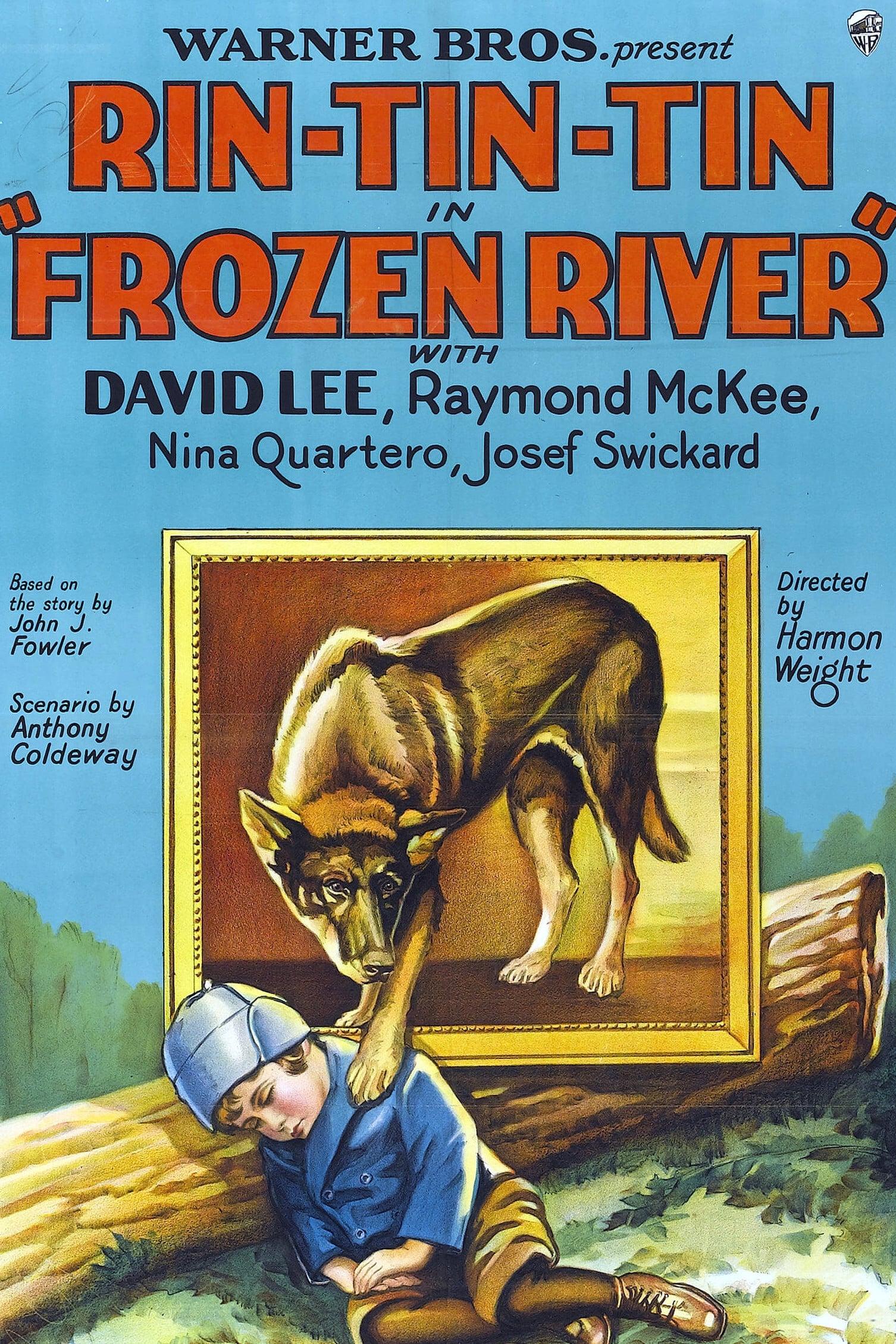 Frozen River poster