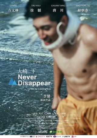 Never Disappear poster