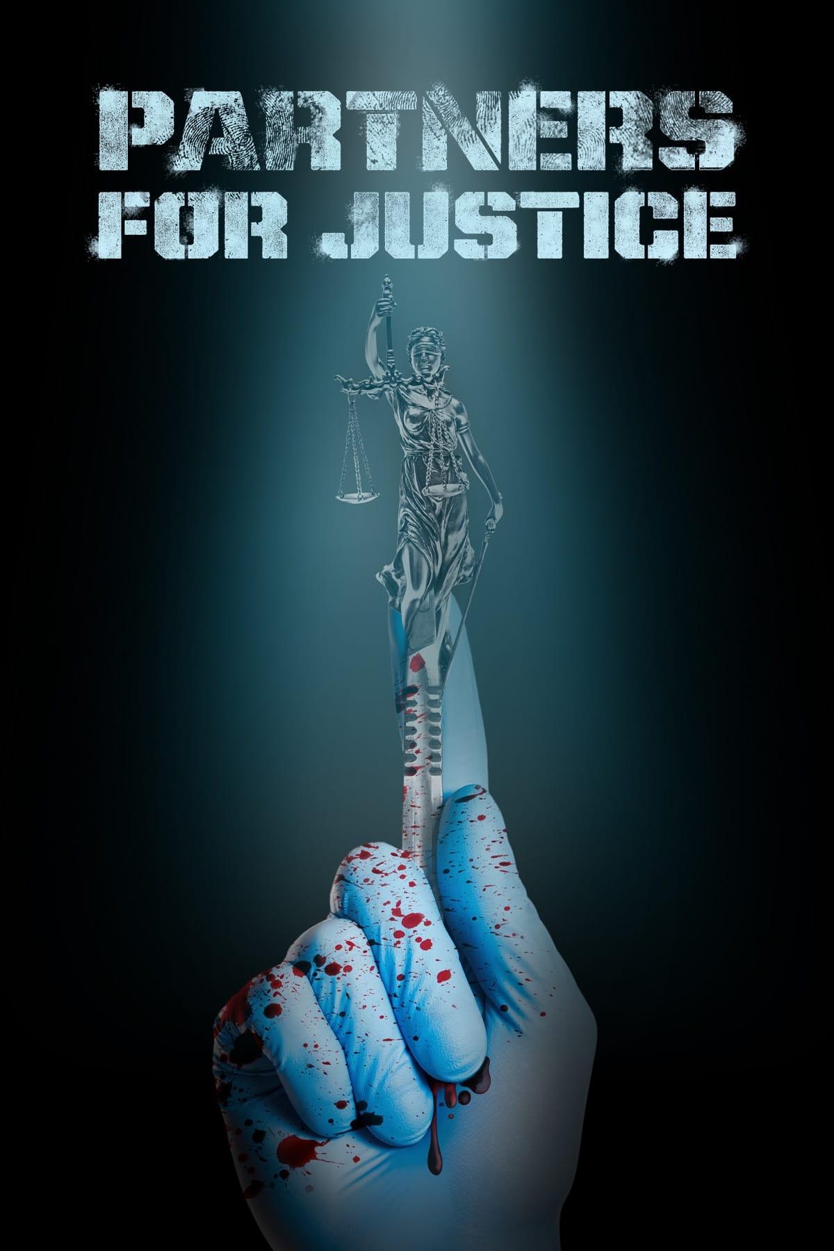Partners for Justice poster