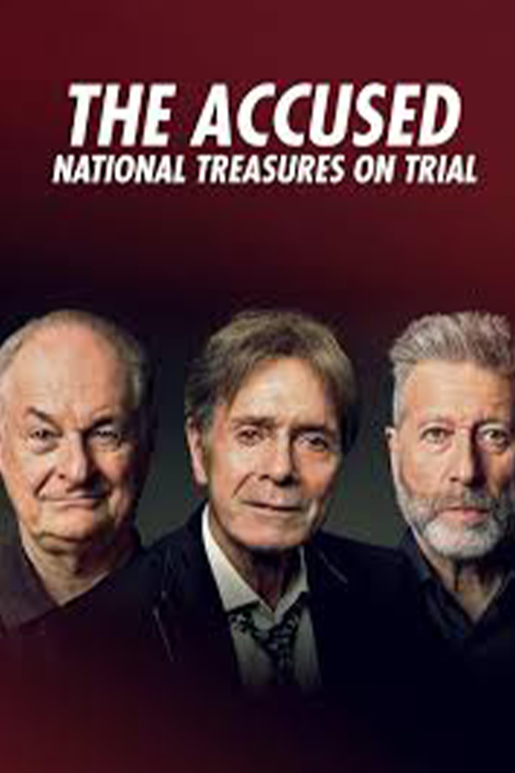 The Accused: National Treasures on Trial poster