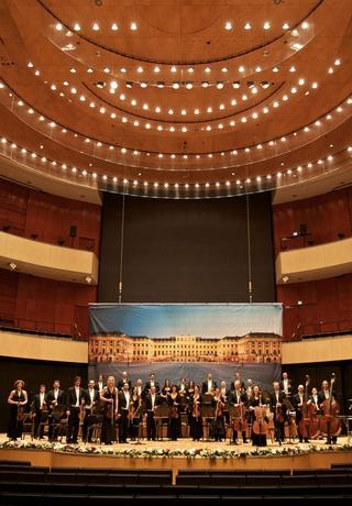 Neujahrskonzert der Wiener Philharmoniker poster