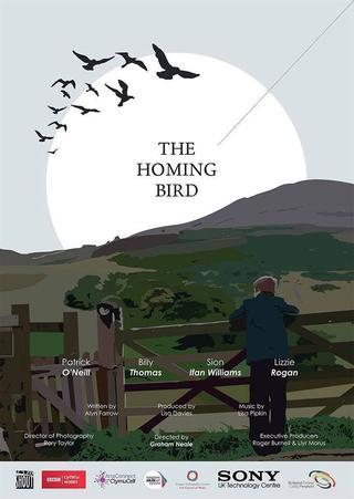 The Homing Bird poster