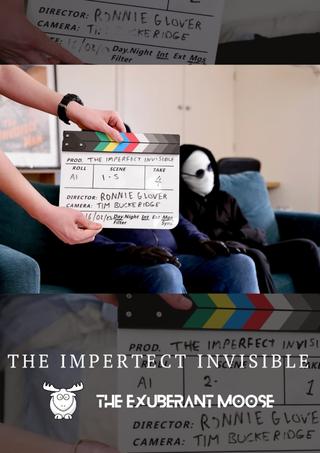 The Imperfect Invisible poster