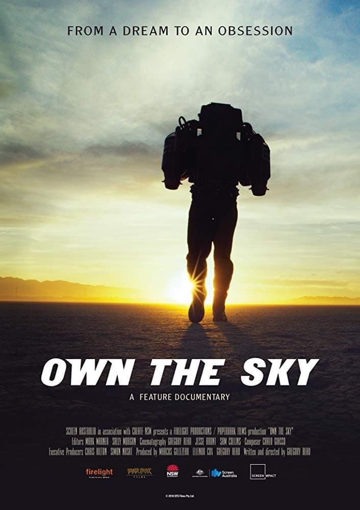Own The Sky poster