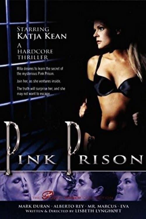 Pink Prison poster