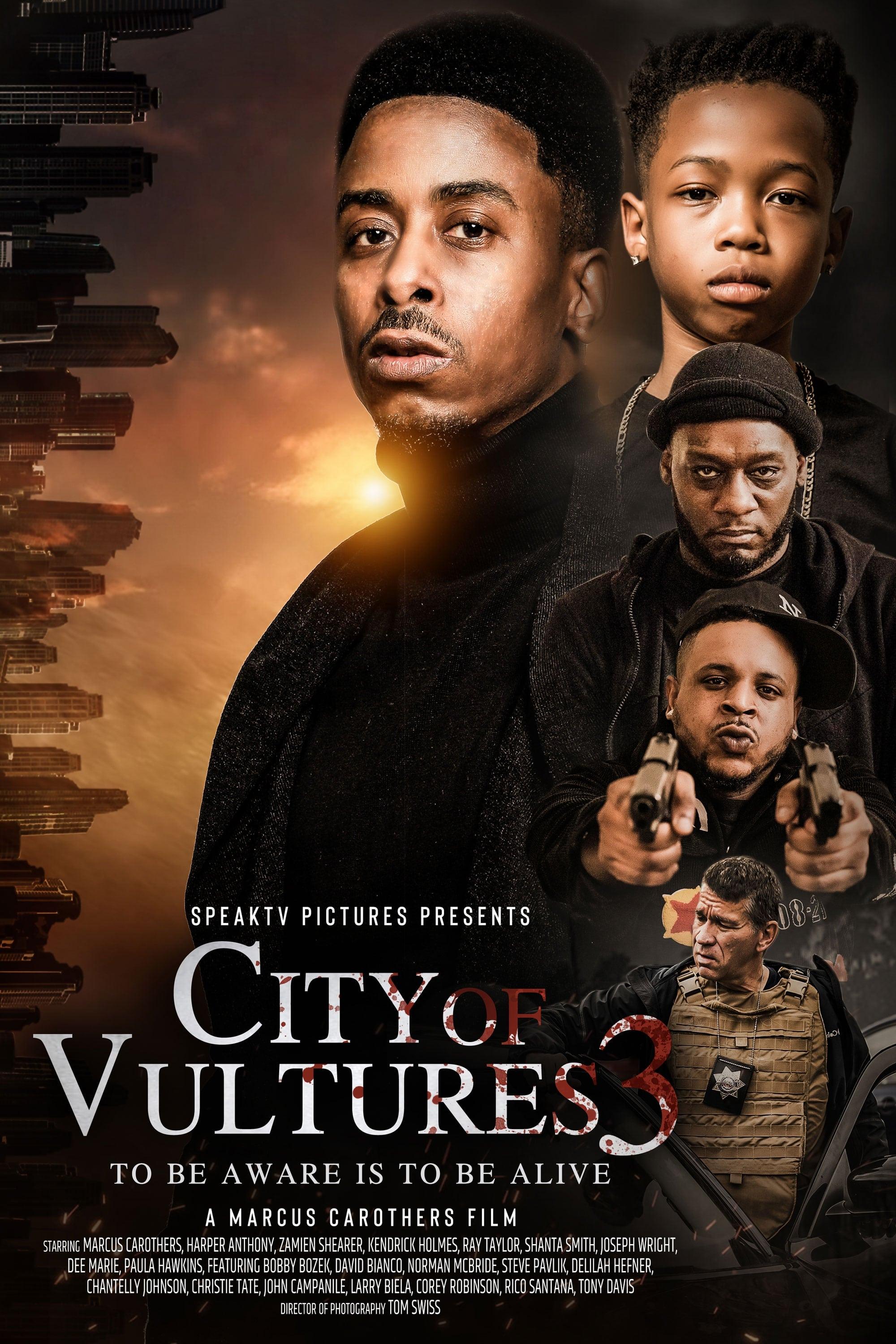 City of Vultures 3 poster