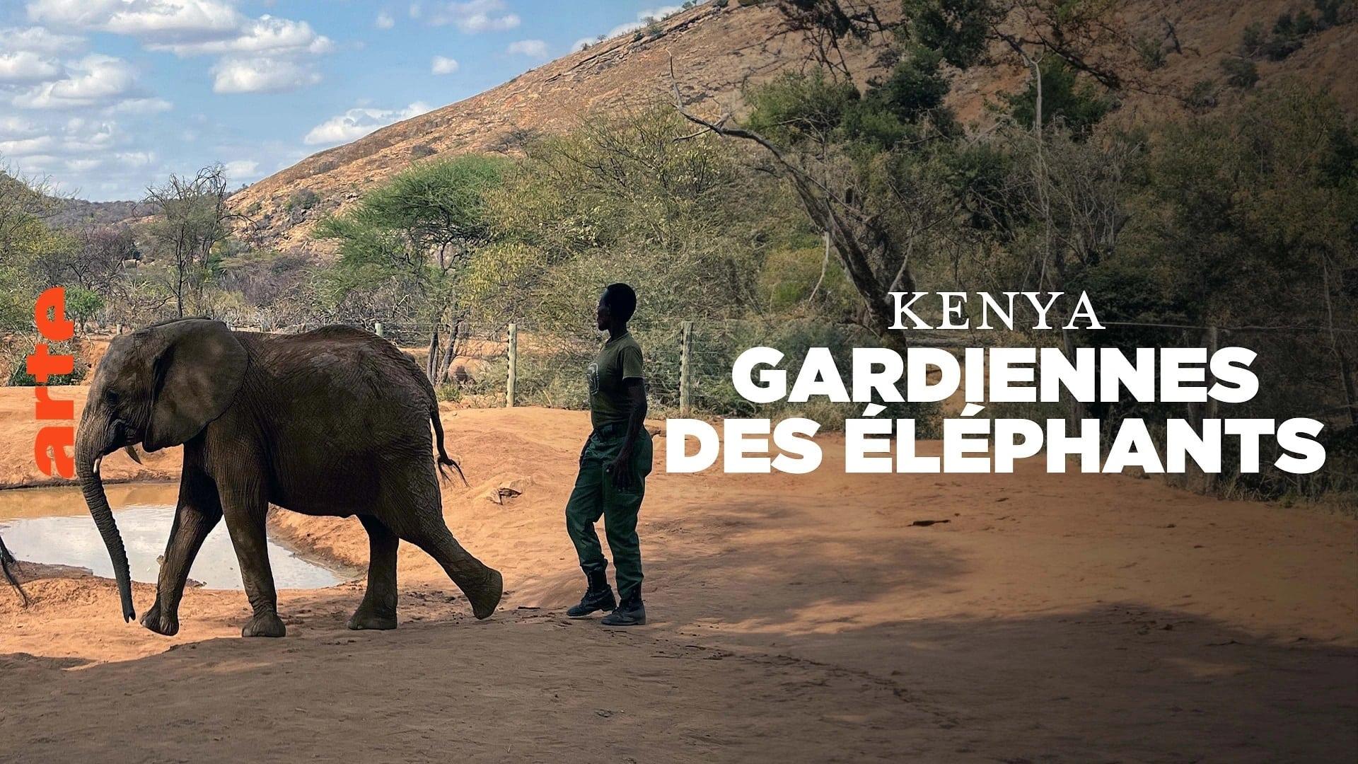 Kenya - Gardiennes des éléphants backdrop