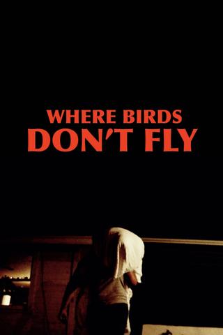 Where Birds Don't Fly poster