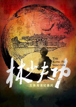 功夫少林 poster