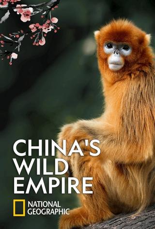 China's Wild Empire poster