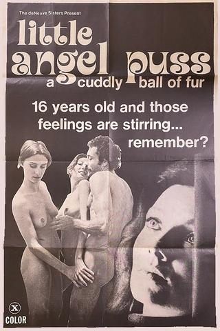 Little Angel Puss poster