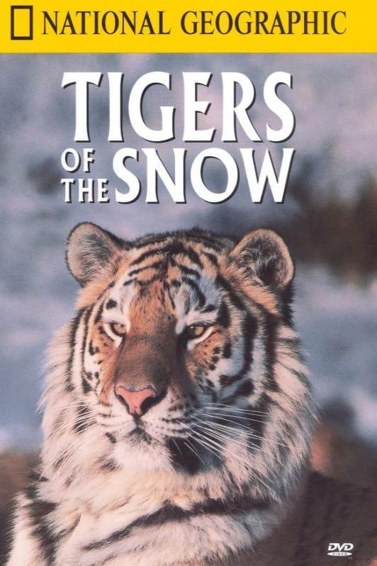 Tigers of the Snow poster