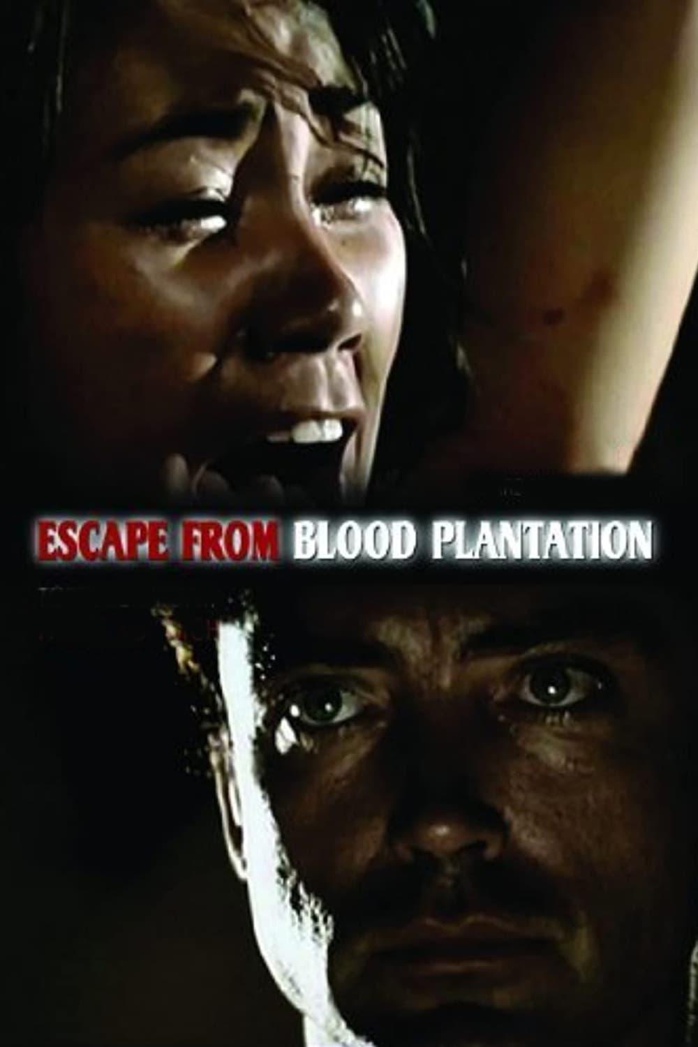 The Island of the Bloody Plantation poster