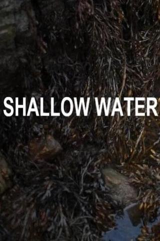 Shallow Water poster