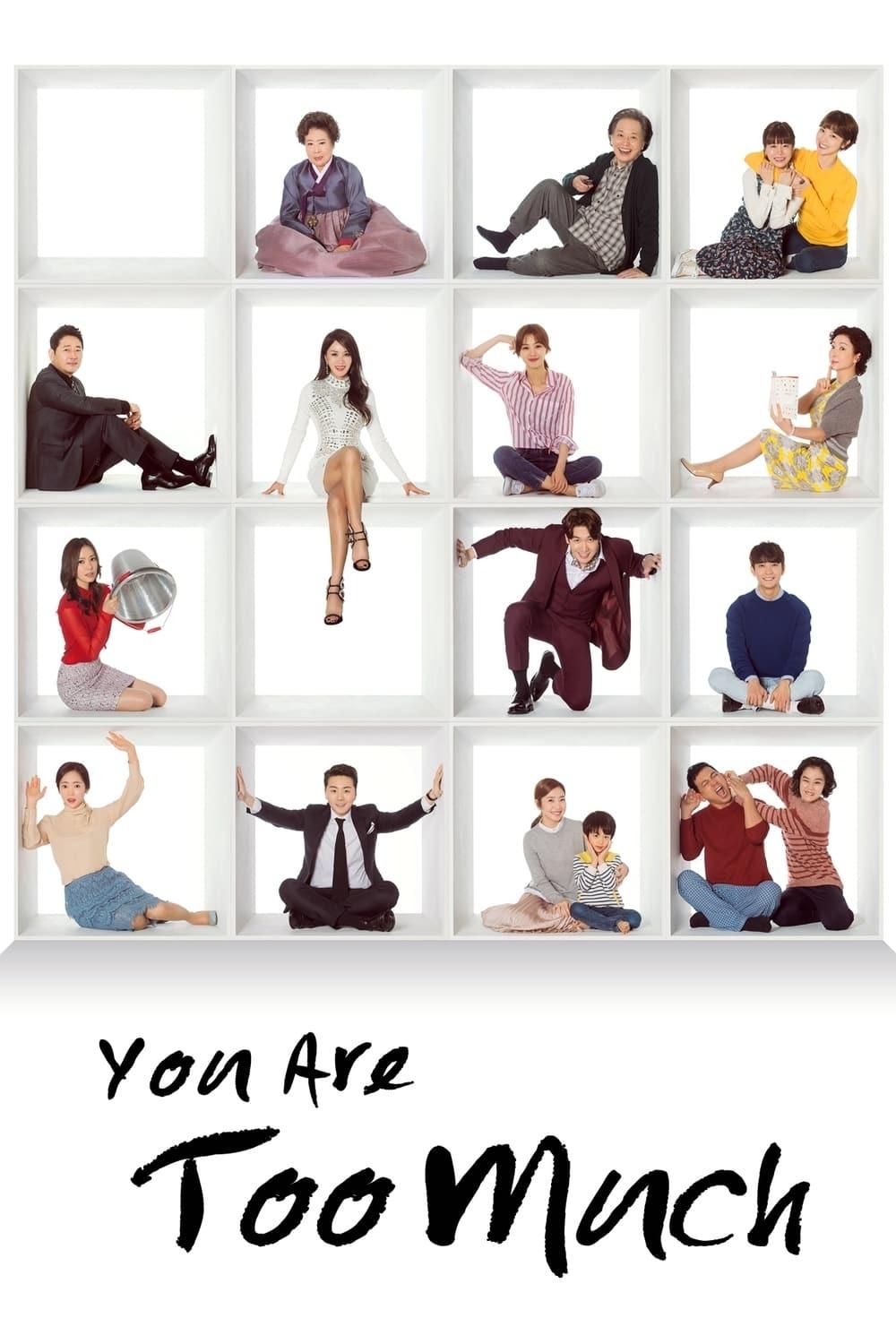 You Are Too Much poster