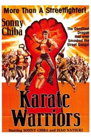 Karate Warriors poster