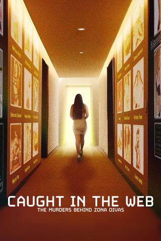 Caught in the Web: The Murders Behind Zona Divas poster