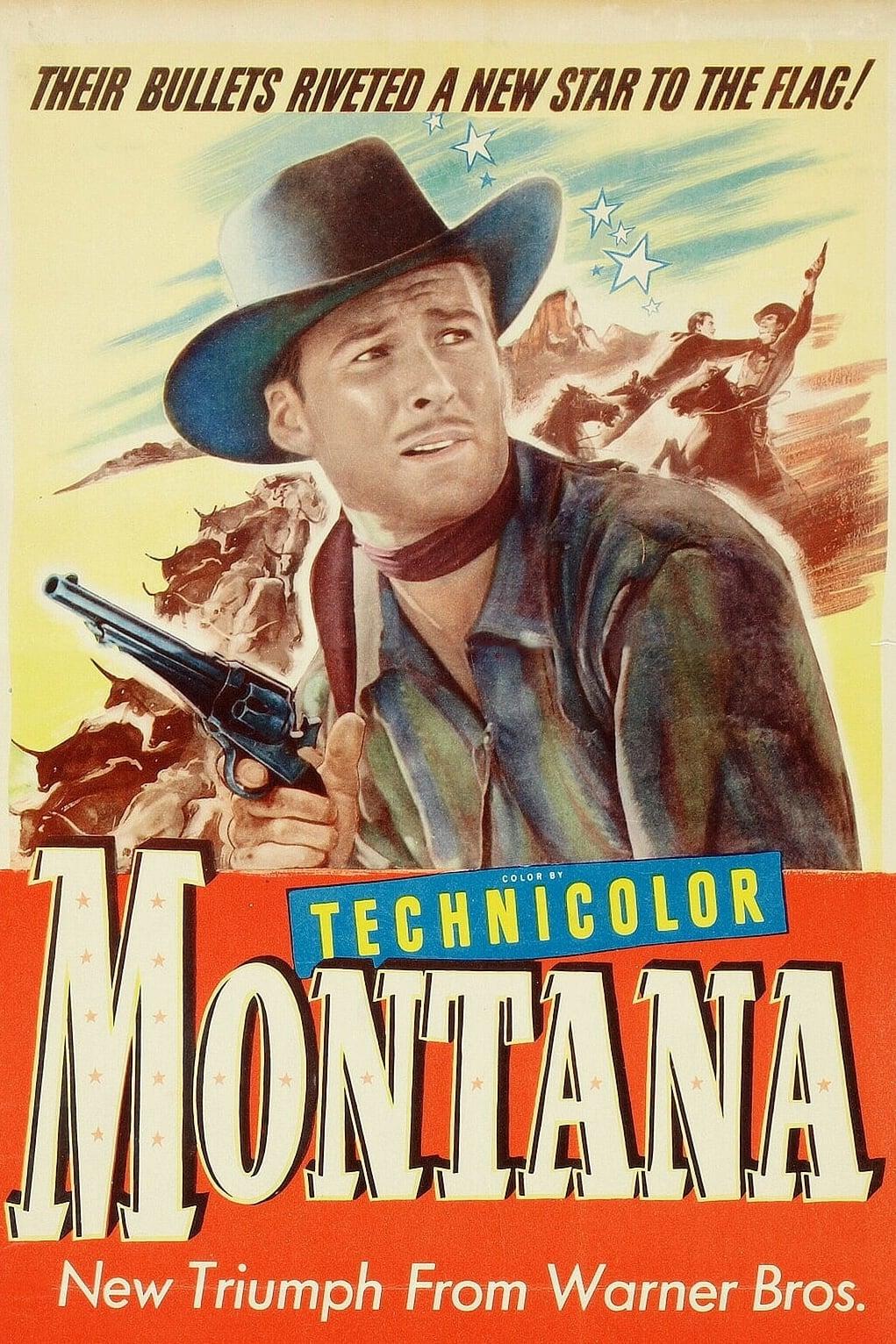 Montana poster