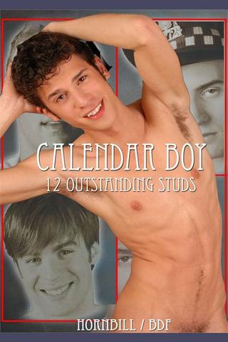 Calendar Boy poster